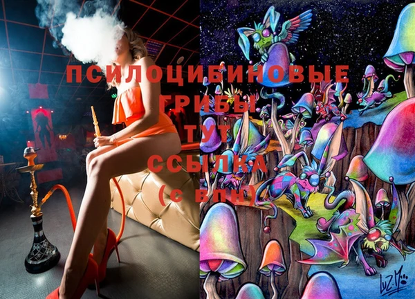 тгк Арсеньев