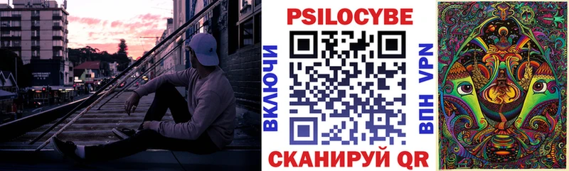 наркошоп  Починок  Псилоцибиновые грибы Psilocybine cubensis 