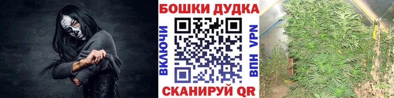 Канабис Ganja  Починок 